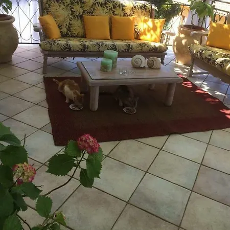 بيت للعطل Stefania Houses *