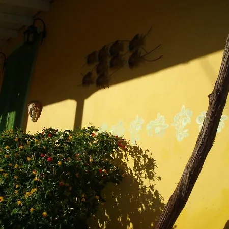 Stefania Houses Vakantiehuis Sivota