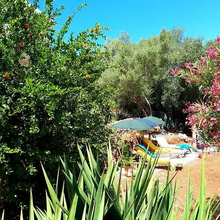 Stefania Houses *