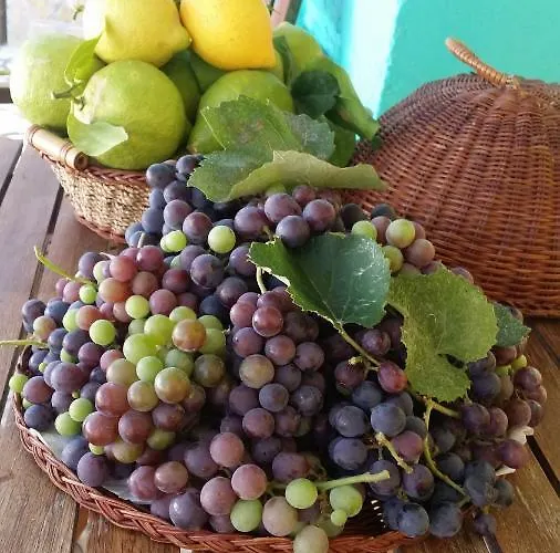 Stefania Houses Vakantiehuis Sivota