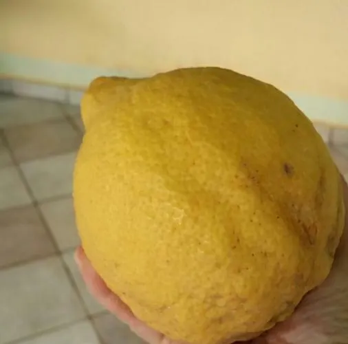 Stefania Houses Sivota