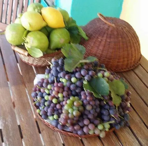 Stefania Houses Sivota