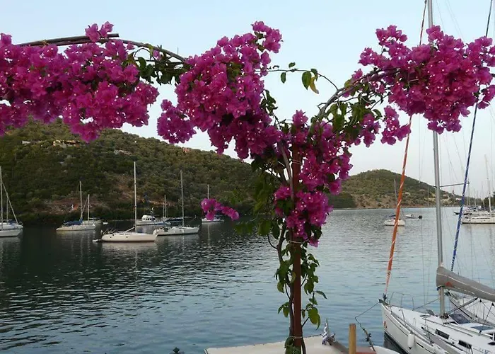 Vakantiehuis Stefania Houses Sivota