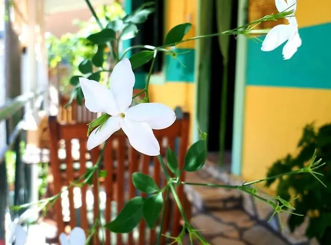 Stefania Houses Vakantiehuis *