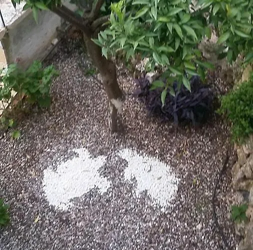 Vakantiehuis Stefania Houses Sivota